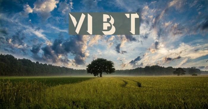 VI Bat Tu फ़ॉन्ट examples