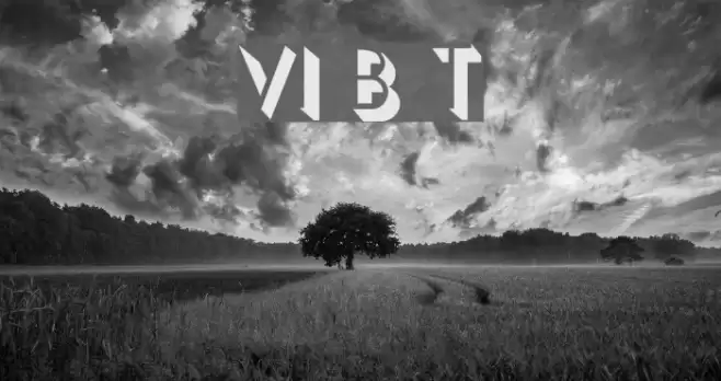 VI Bat Tu Font examples