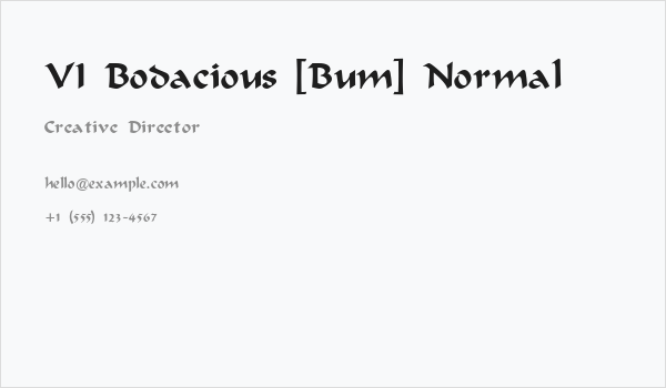VI Bodacious [Bum] Normal Business Card