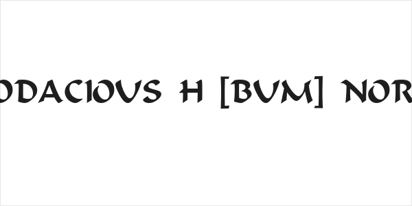 VI Bodacious H [Bum] Normal Logo