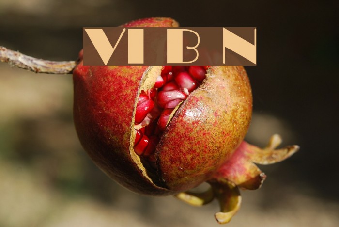 VI Bong Nuoc Font examples