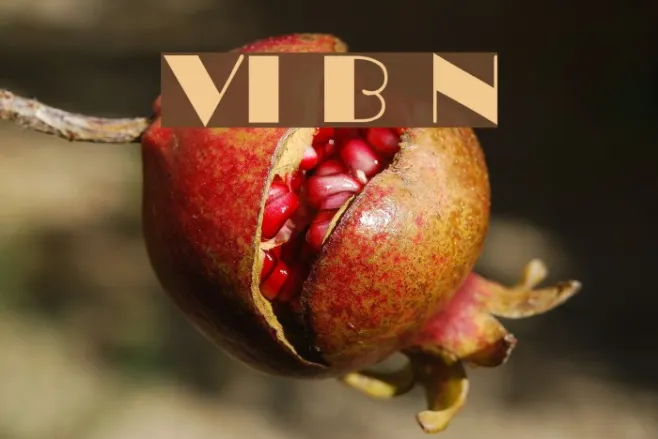 VI Bong Nuoc Example 3