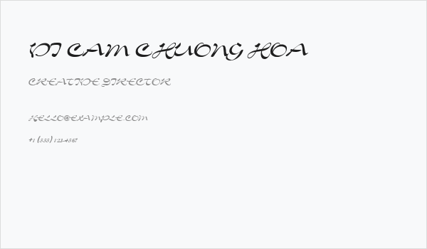 VI Cam Chuong Hoa Business Card