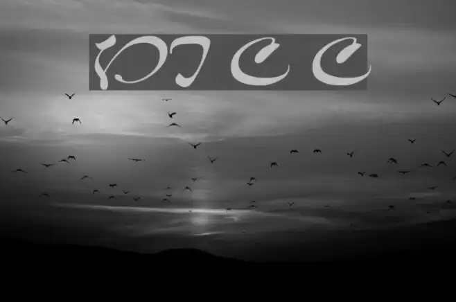 VI Cam Chuong Font examples