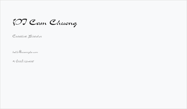 VI Cam Chuong Business Card