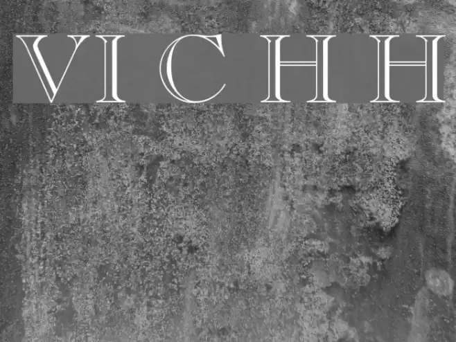 VI Cam Huong Hoa Font examples