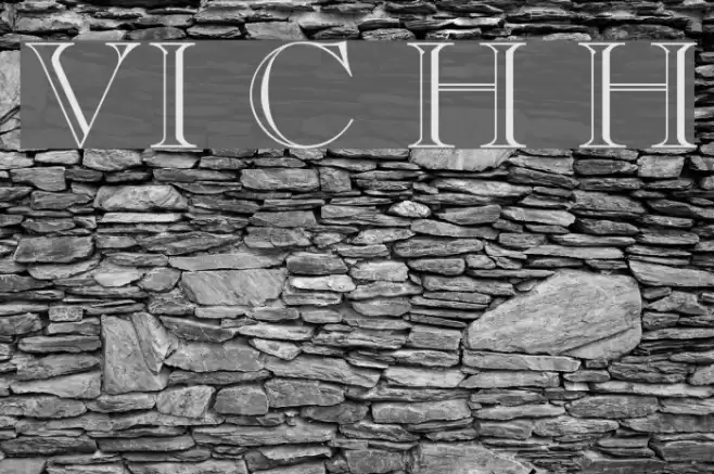 VI Cam Huong Hoa Font examples