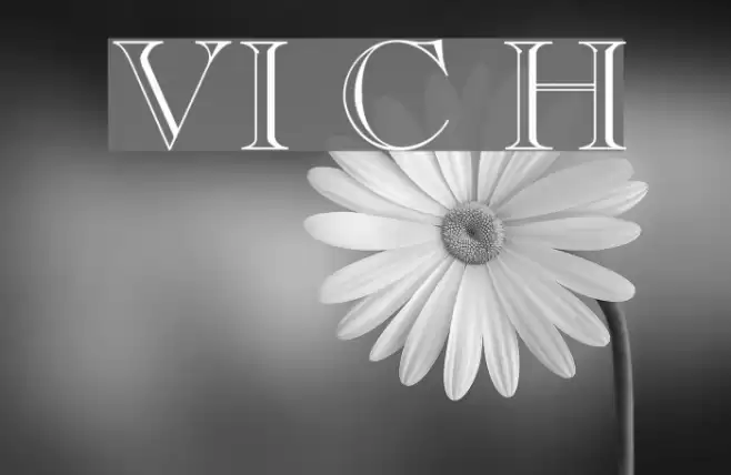 VI Cam Huong Font examples