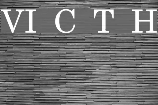 VI Cam Thach Hoa Font examples