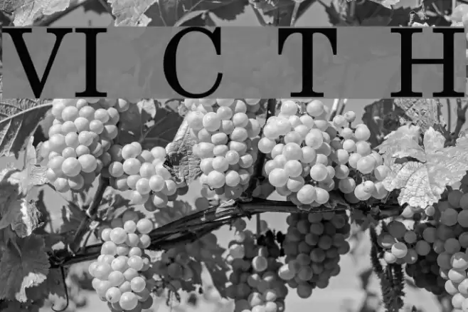 VI Cam Thach Hoa Font examples