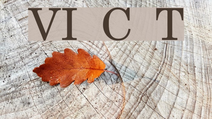 VI Cam Thach Font examples