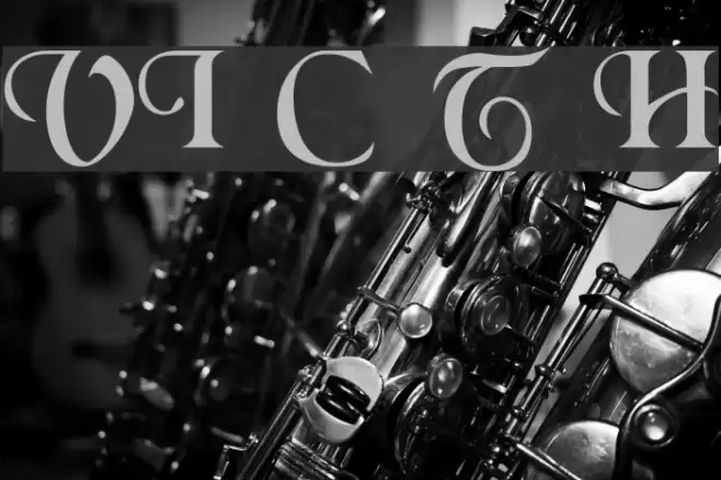 VI Chí Toàn H Font examples