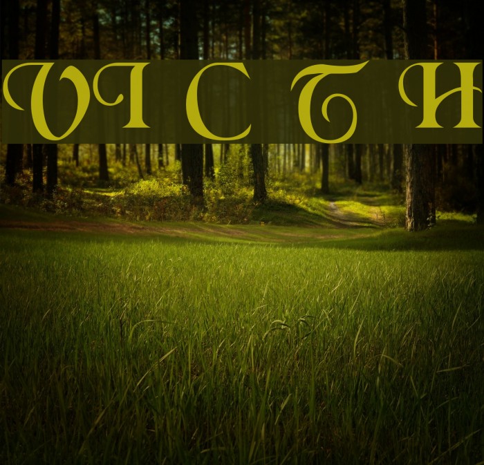 VI Chí Toàn H Example 2