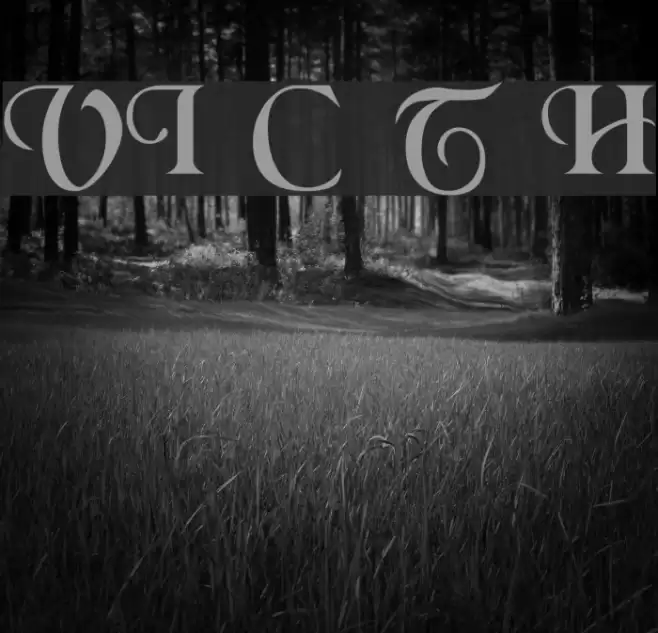 VI Chí Toàn H Font examples