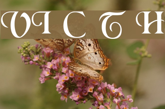 VI Chí Toàn H Example 3