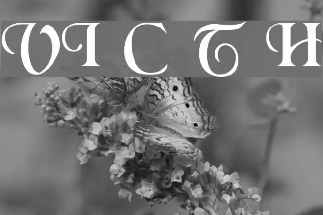 VI Chí Toàn H Font examples