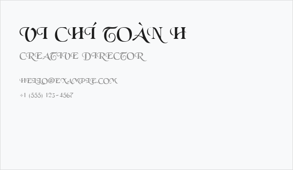 VI Chí Toàn H Business Card