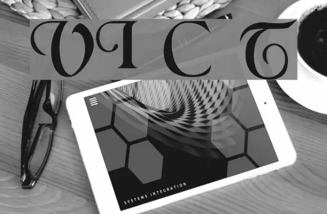 VI Chí Toàn Font examples