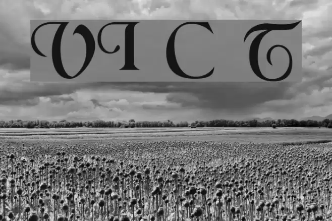 VI Chí Toàn Font examples