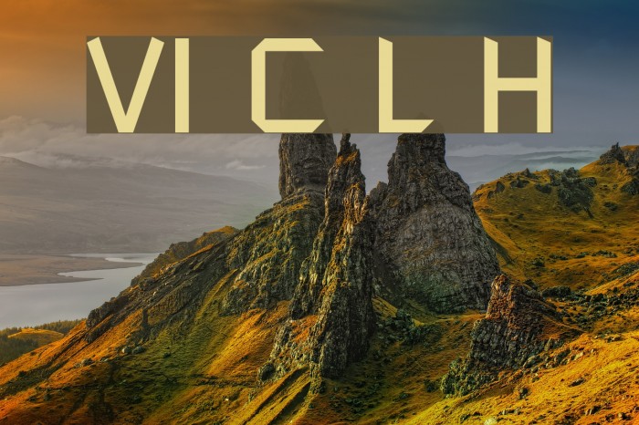 VI Chi Lan Hoa Example 1