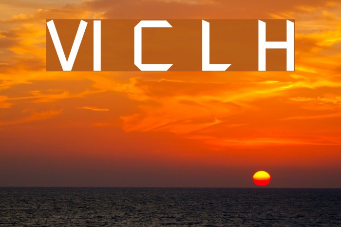 VI Chi Lan Hoa Example 2