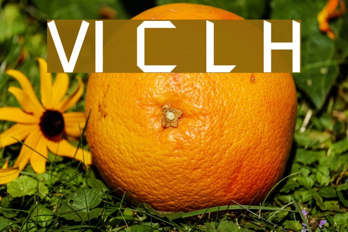 VI Chi Lan Hoa Example 3