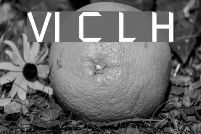 VI Chi Lan Hoa Font examples