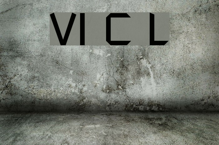 VI Chi Lan Font examples