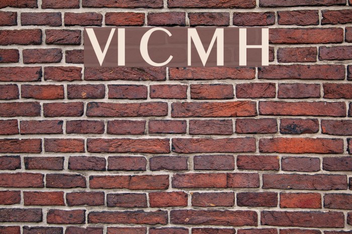 VI Co May Hoa Font examples