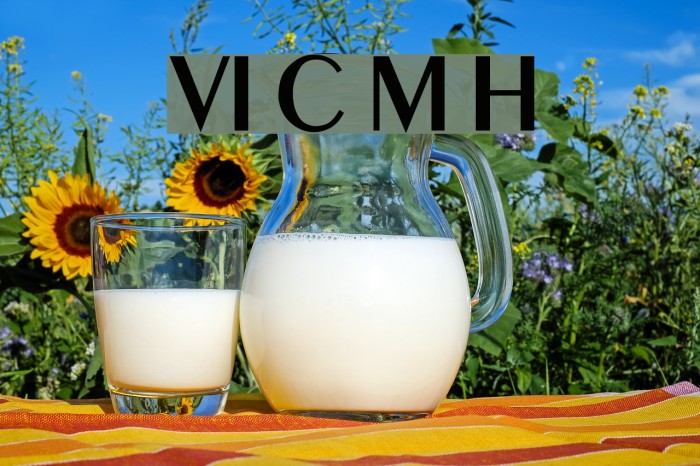 VI Co May Hoa Font examples