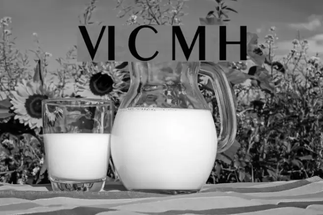 VI Co May Hoa Fonte examples