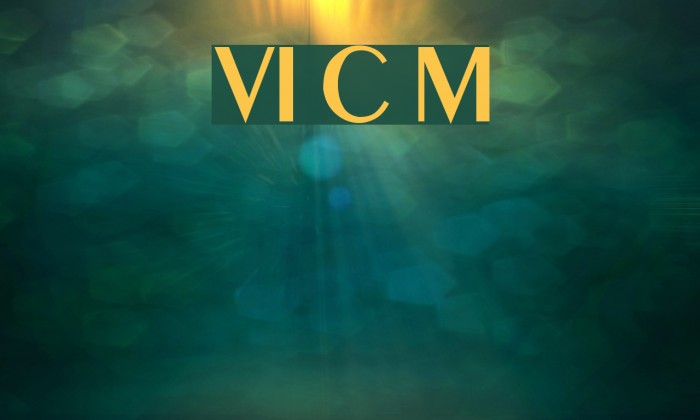 VI Co May Font examples
