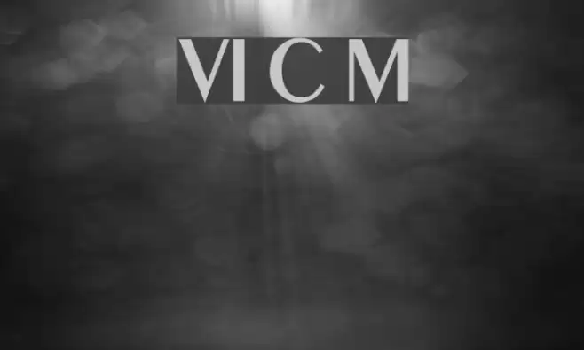 VI Co May Fonte examples