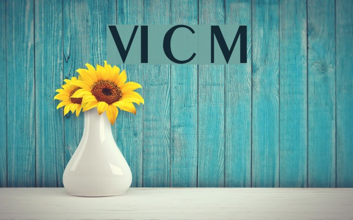 VI Co May Font examples