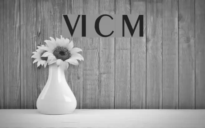 VI Co May Fonte examples
