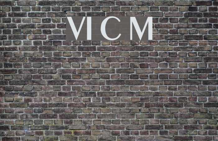 VI Co May Font examples