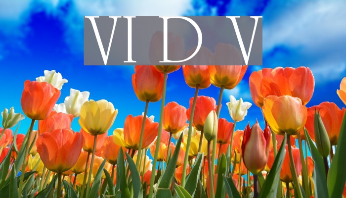 VI Duong Vi Font examples