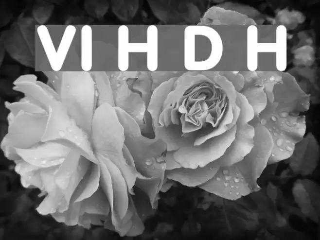 VI Hai Duong Hoa Font examples
