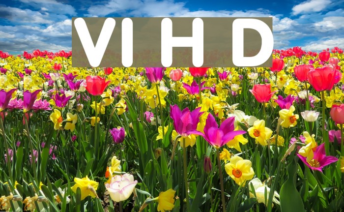 VI Hai Duong Font examples