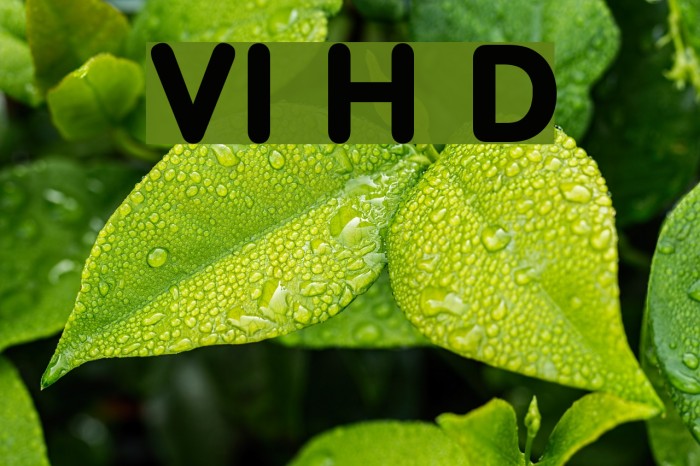 VI Hai Duong Font examples