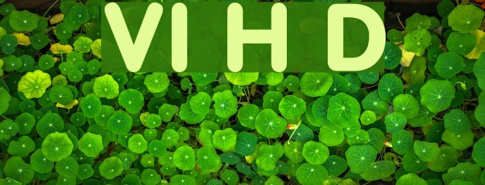 VI Hai Duong Font examples