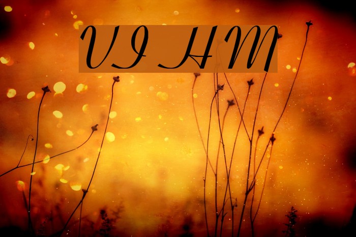 VI Hoang Mai Font examples