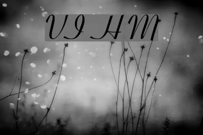 VI Hoang Mai Font examples