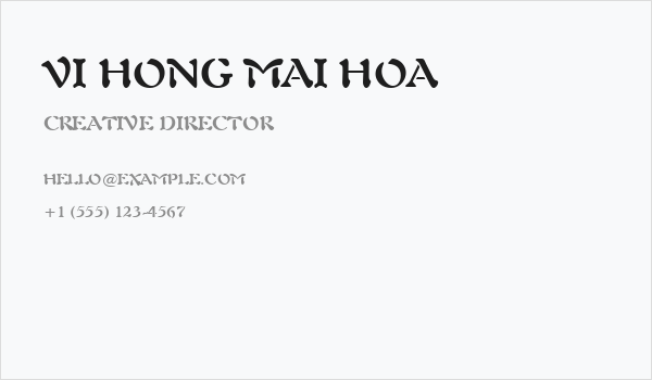 VI Hong Mai Hoa Business Card