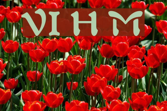 VI Hong Mai Font examples