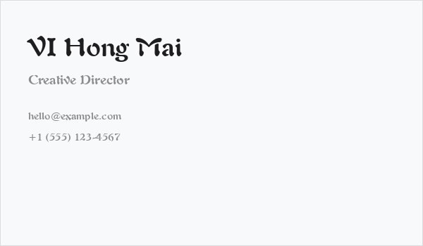 VI Hong Mai Business Card