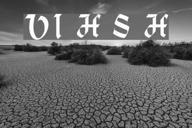 VI Hoàng Sa H Font examples