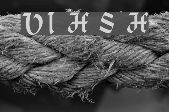 VI Hoàng Sa H Font examples