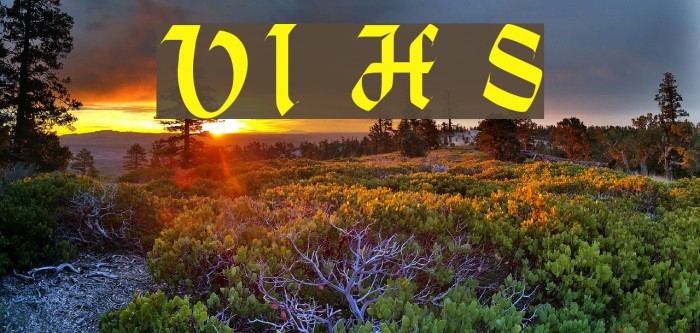 VI Hoàng Sa Example 1