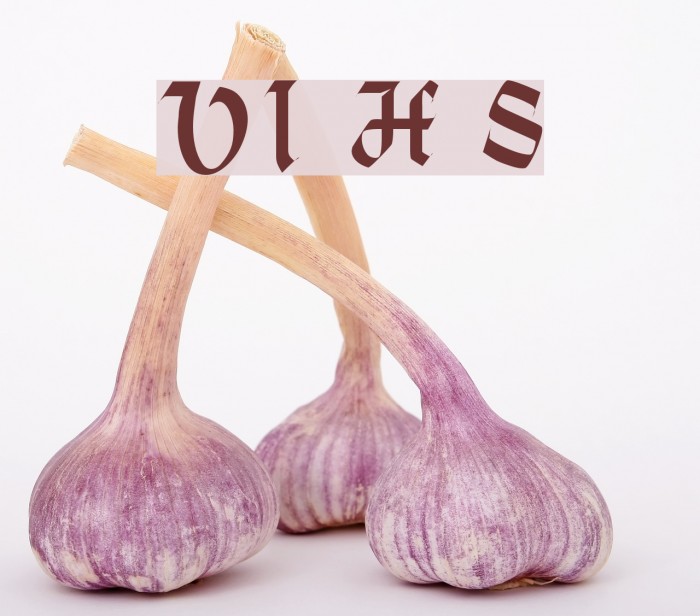 VI Hoàng Sa Example 3